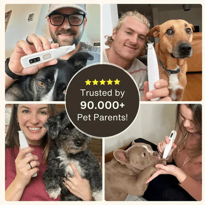 Pet Grooming Trimmer
