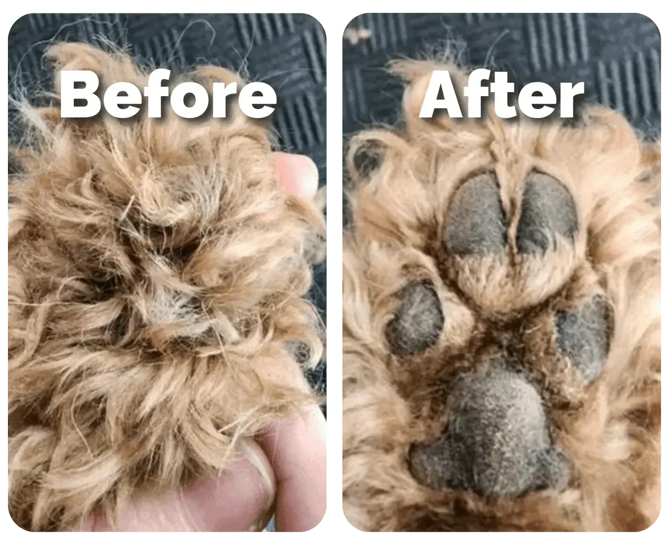 Pet Grooming Trimmer