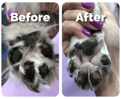 Pet Grooming Trimmer